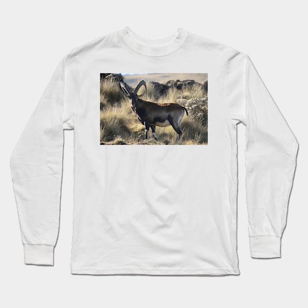 Mountain goat-goat on mountain Long Sleeve T-Shirt by NP-Pedia